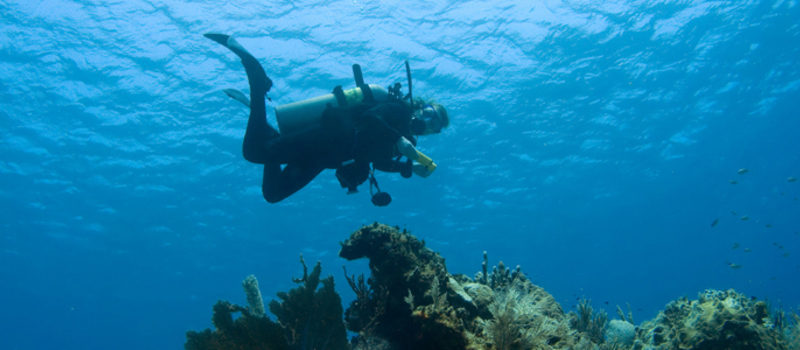 PADI Instructor Development Course